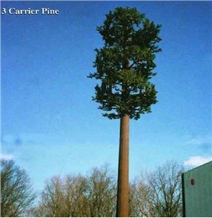 Cuddio Dur Cnau Coco Antena Mono-pinwydd Twr Telathrebu Coed Pine