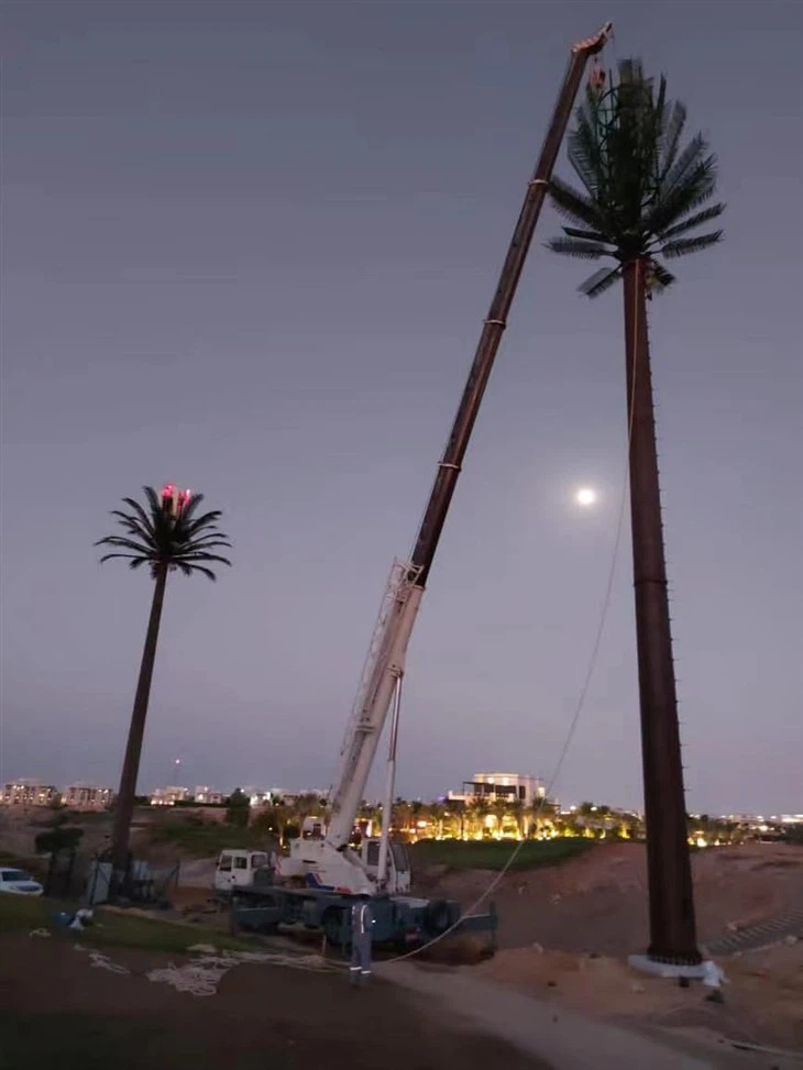 Dur Palm Antena Monopole Cyfathrebu Artiffisial Tŵr Coed Cuddliw